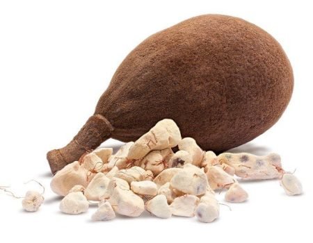 Baobab fruit.jpg