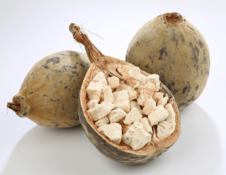 baobab fruit 2.png